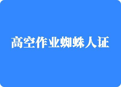 大屌一区高空作业蜘蛛人证